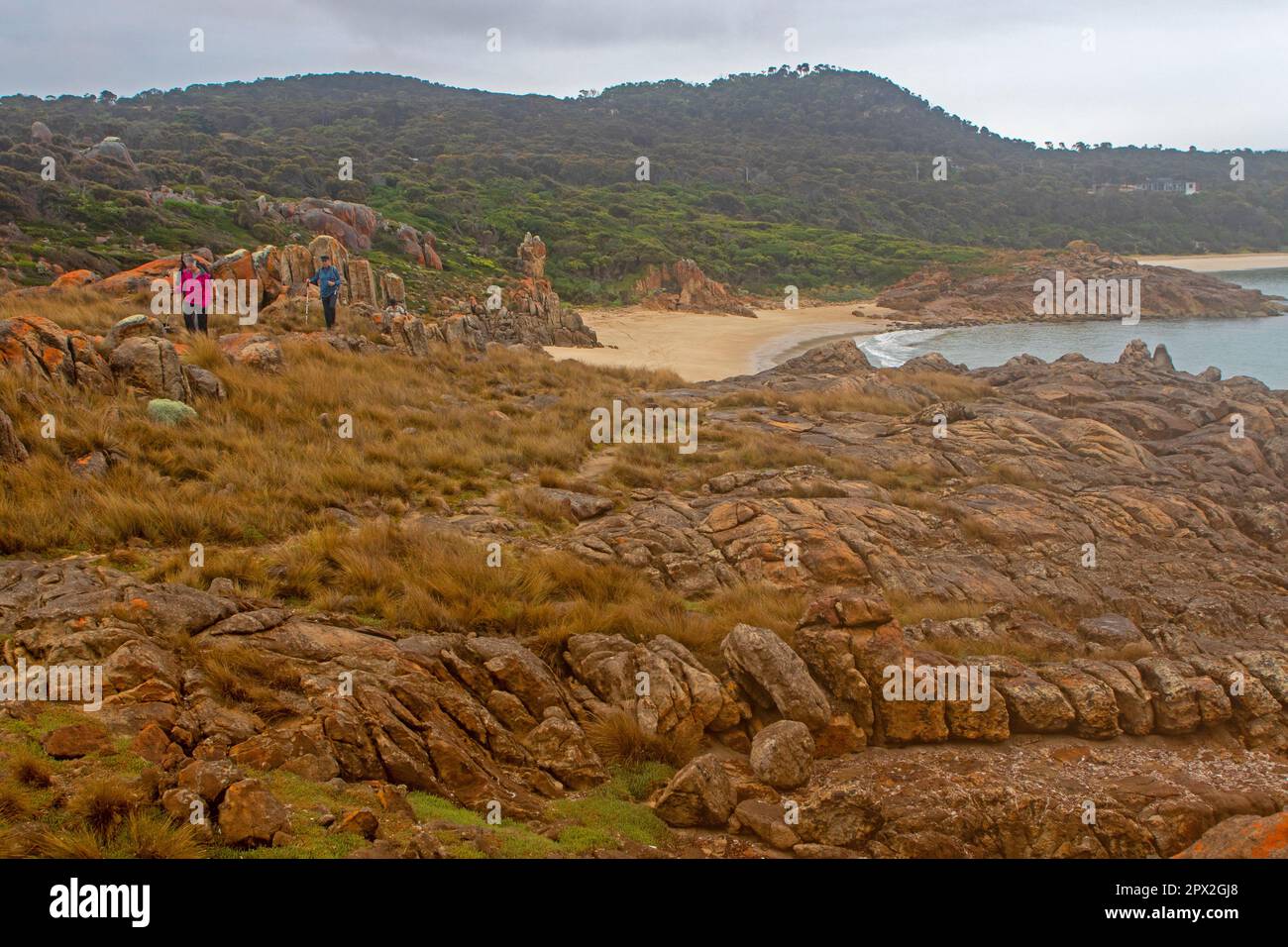 Randonneurs sur le sentier de Castle Rock, Flinders Island Banque D'Images