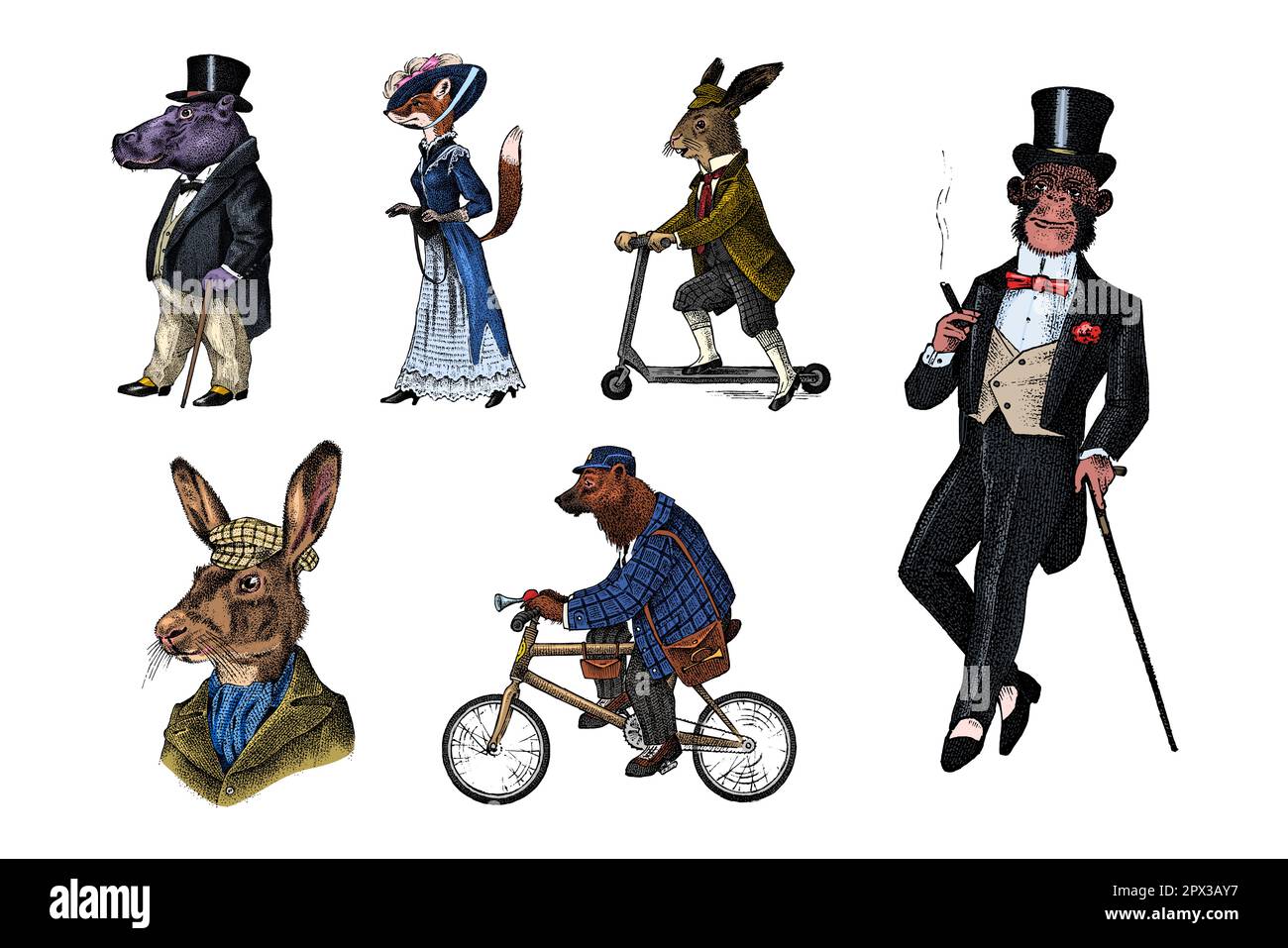 Chien de mode. Personnages animaux. L'ours brun fait du vélo. Renard et singe, hippopotame et lièvre ou lapin sur un scooter. Antique gentleman dans un chapeau et Illustration de Vecteur
