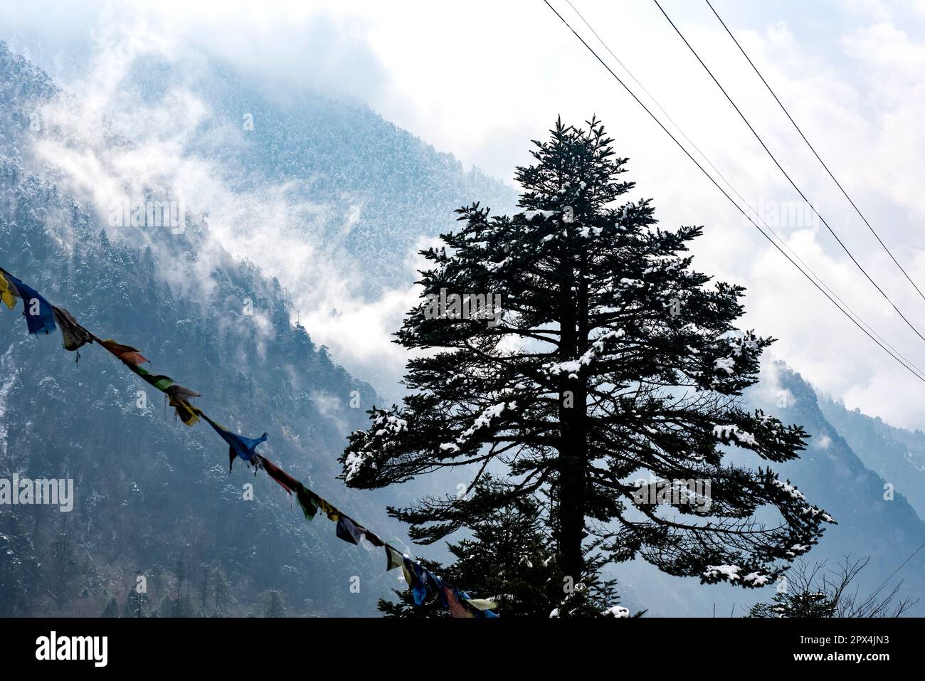 Yumthang Valley, au nord de Sikkim est un paradis sur terre, qui est plein de merveilles naturelles et de beauté pittoresque. Banque D'Images