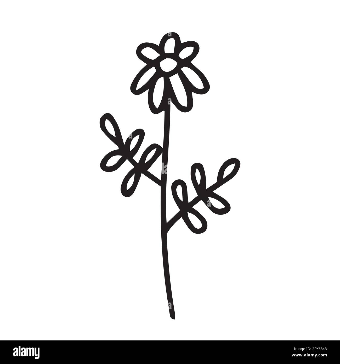 Fleur d'été Doodle Illustration de Vecteur