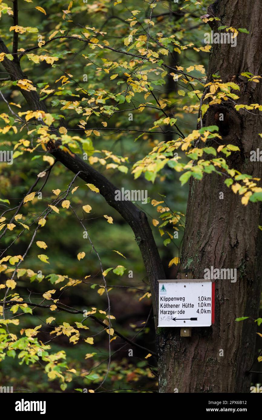 Signalisation des sentiers de randonnée dans les montagnes Harz Banque D'Images