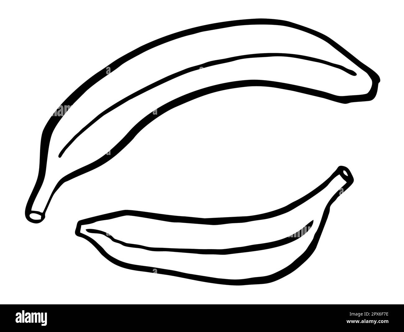 l'art de la ligne de bananes, dessin à la main, illustration noir et blanc des fruits tropicaux, ensemble Banque D'Images