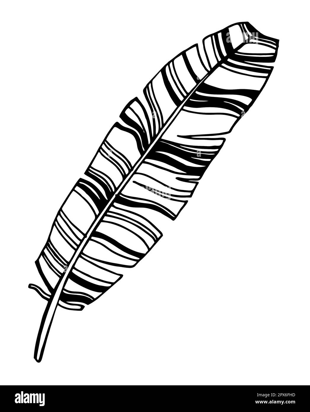 line art feuille de bananes, feuille tropicale dessinée à la main, illustration de peinture, icône de feuille noire et blanche Banque D'Images