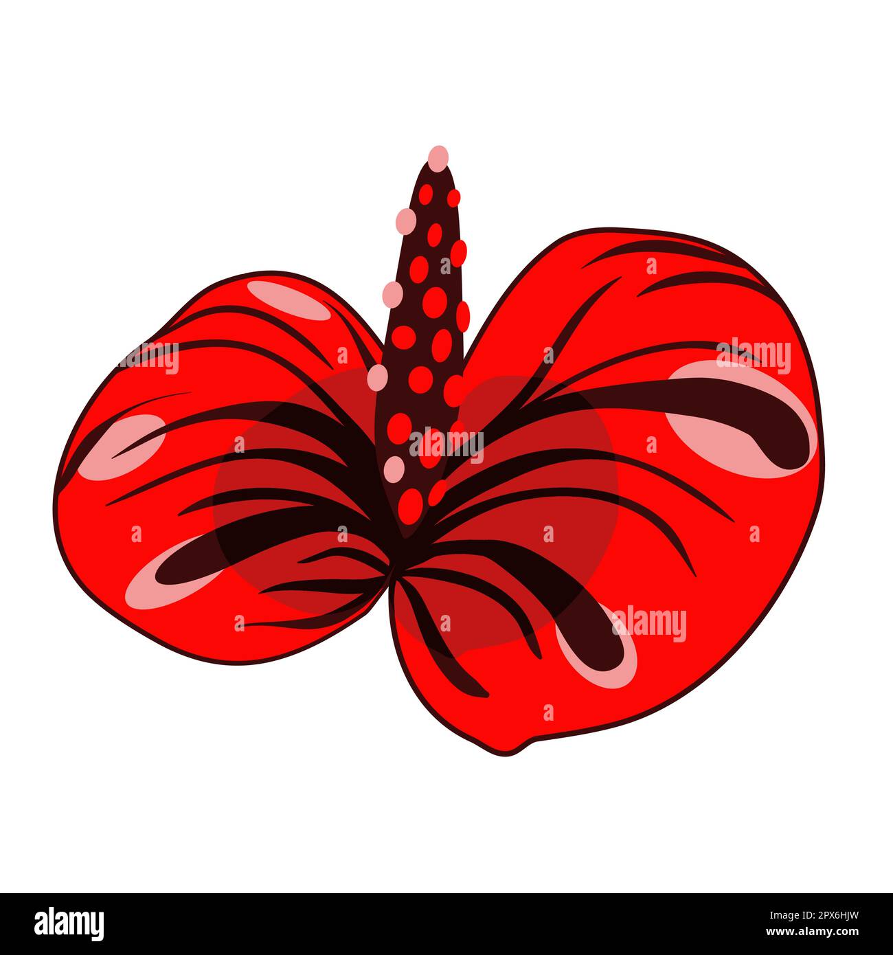 Illustration vectorielle florale Anthurium Illustration de Vecteur