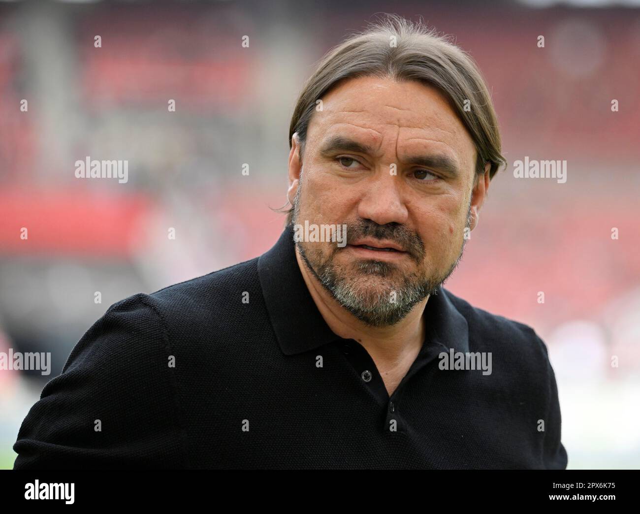 Entraîneur Daniel Farke Borussia Moenchengladbach BMG, Portrait, Mercedes-Benz Arena, Stuttgart, Baden-Wuerttemberg, Allemagne Banque D'Images