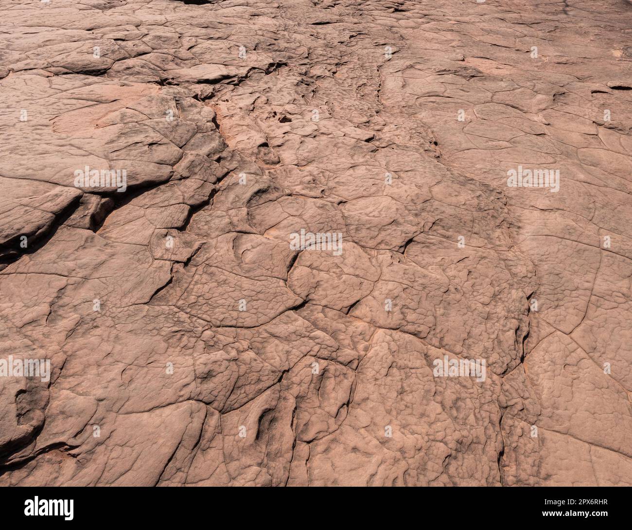 Naka grotte géant serpent pierre. Dans le parc national de Phu Langka, Buangkan Thaïlande. Banque D'Images