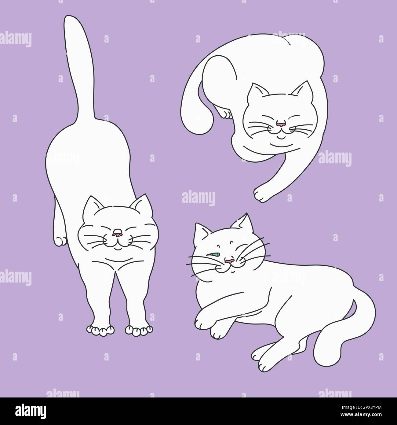 Chats blancs mignons dans différentes poses sur fond violet. Ensemble de poses de chat. Pose de chat. Illustration vectorielle dessinée à la main Illustration de Vecteur