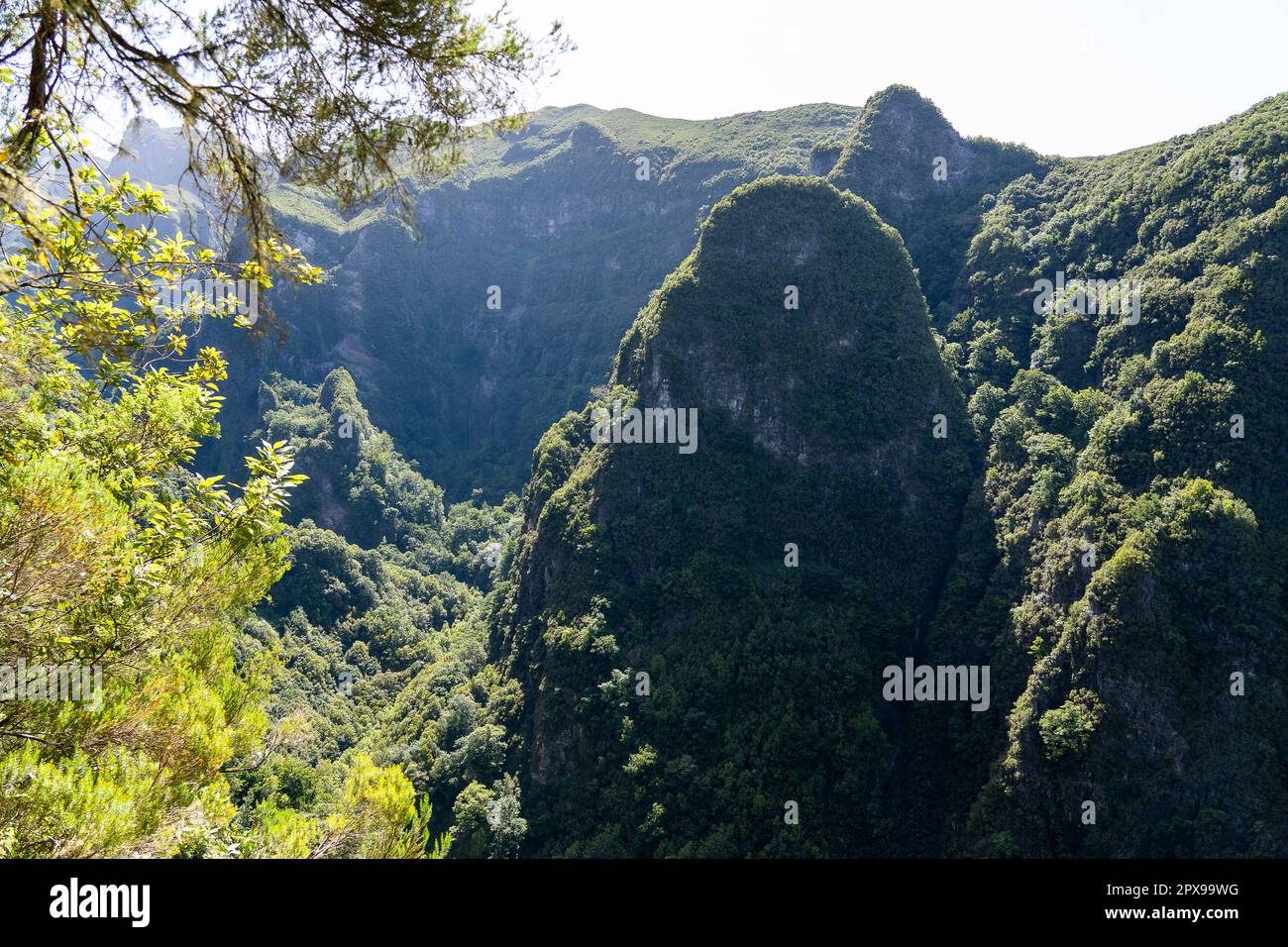Paysage de montagne.Vue sur les montagnes sur la route Queimadas Forestry Park - Caldeirao Verde, île de Madère, Portugal, Europe. Banque D'Images