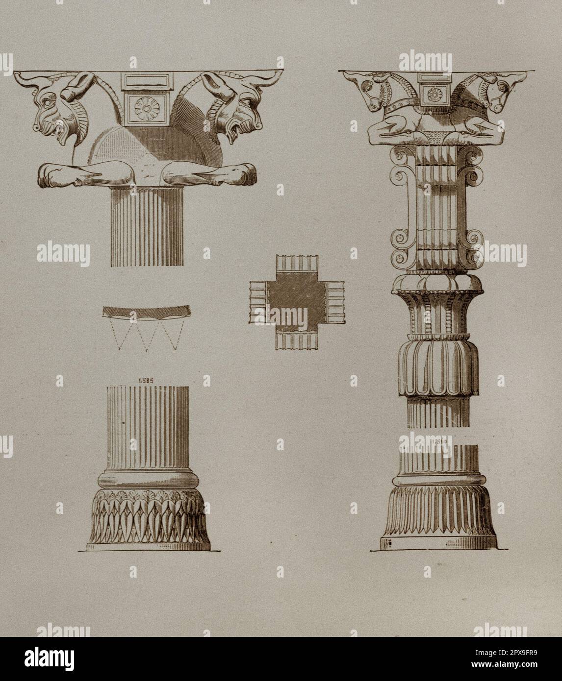 Illustration vintage des colonnes de la salle d'audience de Darius et Xerxes à Persepolis avec des capitales de taureaux et de têtes de chevaux. Banque D'Images