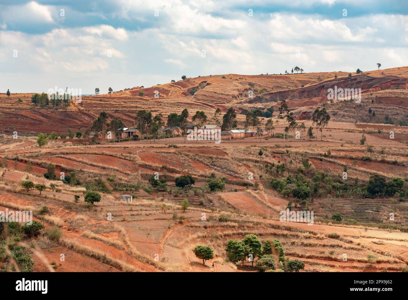 Paysage dévasté du centre de Madagascar, Mandoto, Vakinancaratra. Campagne boisée des Highlands. La déforestation crée des terres agricoles pastorales bu Banque D'Images