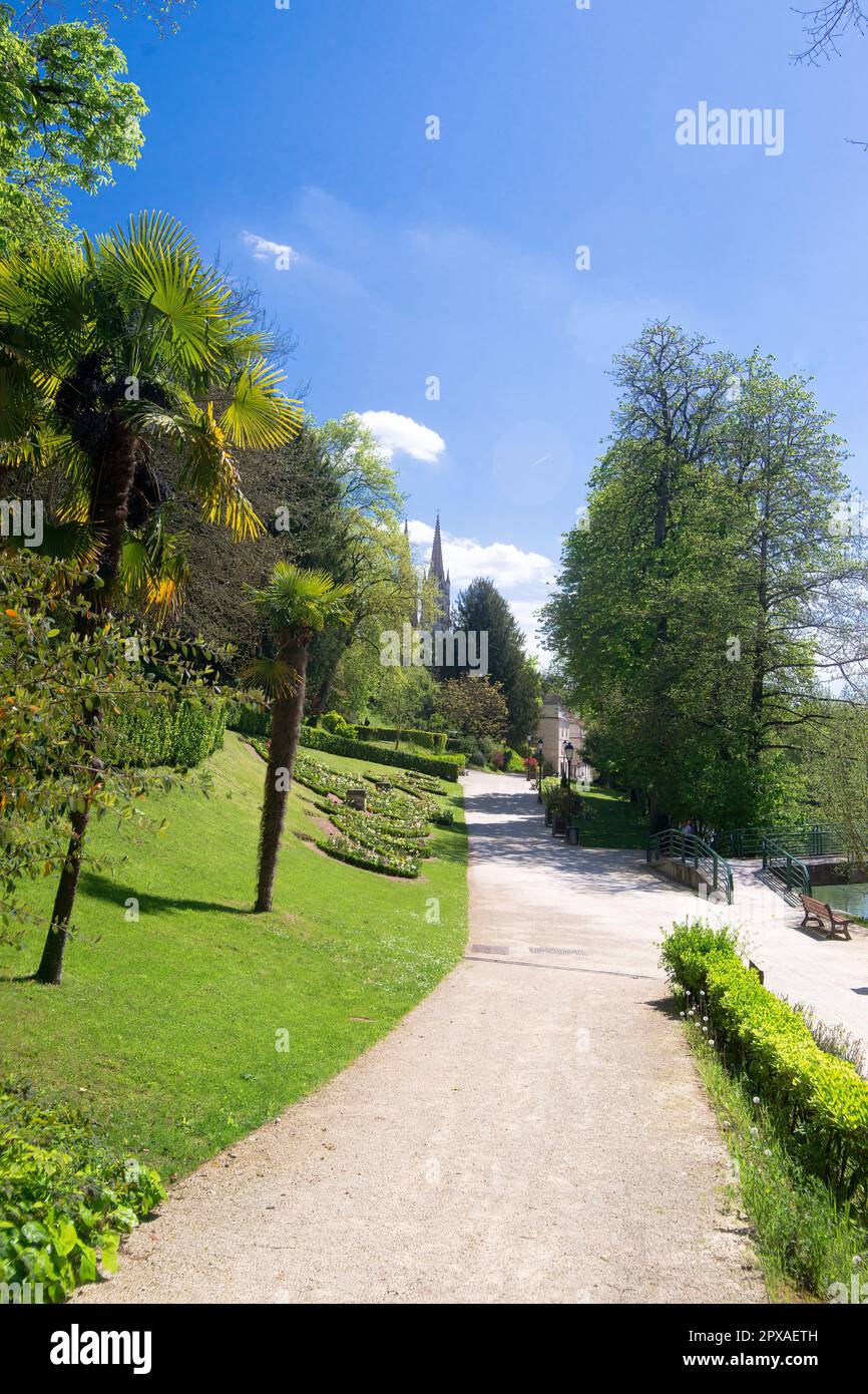 Palmiers dans le jardin botanique de Niort Banque D'Images