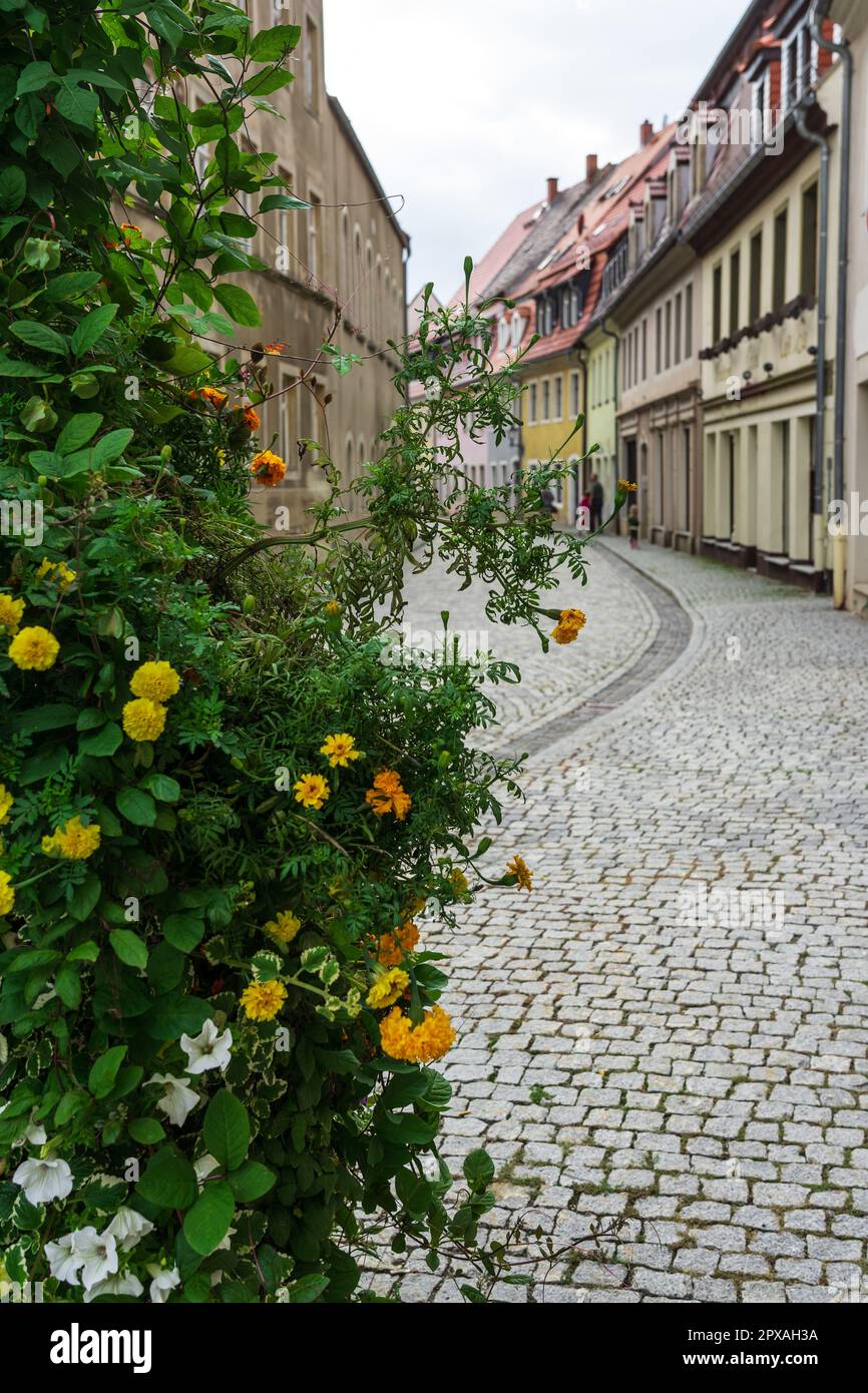 Stolpen. Saxe. Allemagne. Rues d'une vieille ville historique. Mise au point au premier plan. Banque D'Images