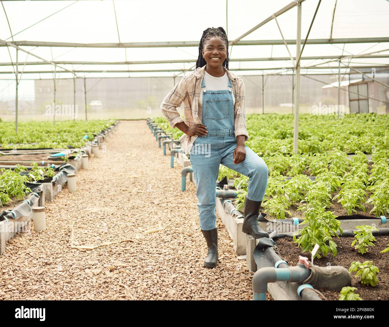 Heureuse paysanne dans sa serre. Fier fermier debout dans son jardin. Agriculteur afro-américain dans sa pépinière. Portrait de jeune fermier souriant Banque D'Images