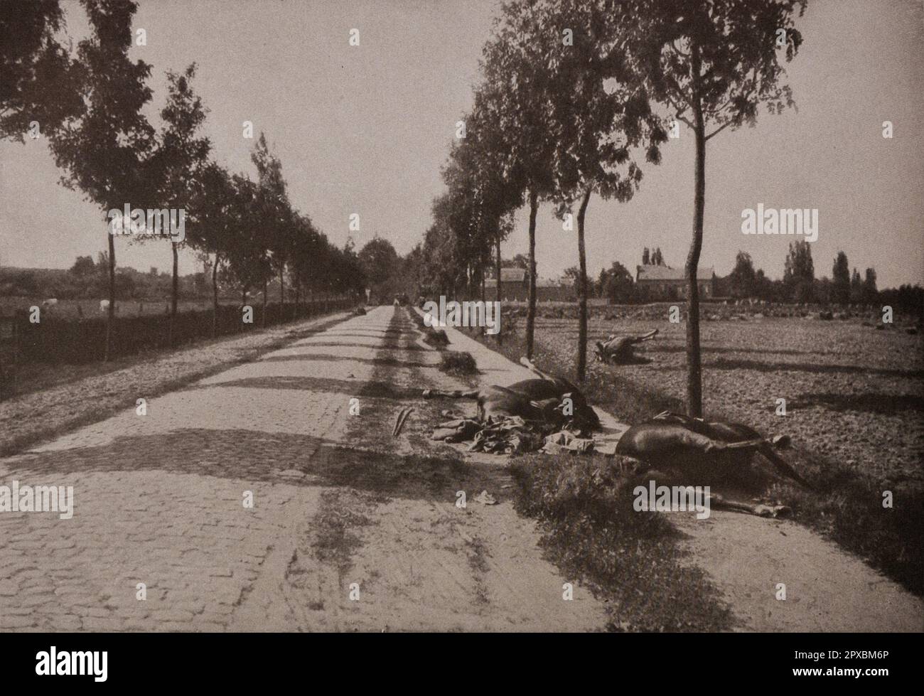 Première Guerre mondiale Sur la route pavée de Diest à Haelen, les mêmes épaves témoignent des pertes subies en l'espèce par les escadrons allemands. Banque D'Images