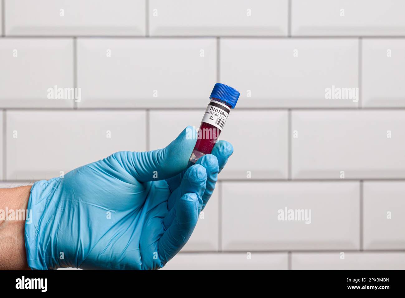 une main dans des gants bleus je shandling une sonde de sang dans une salle de laboratoire Banque D'Images