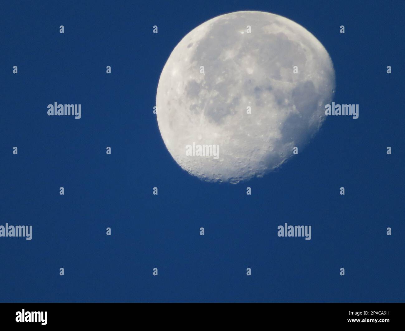 Magnifique lune satellite nuit lumière cratères martiens Banque D'Images