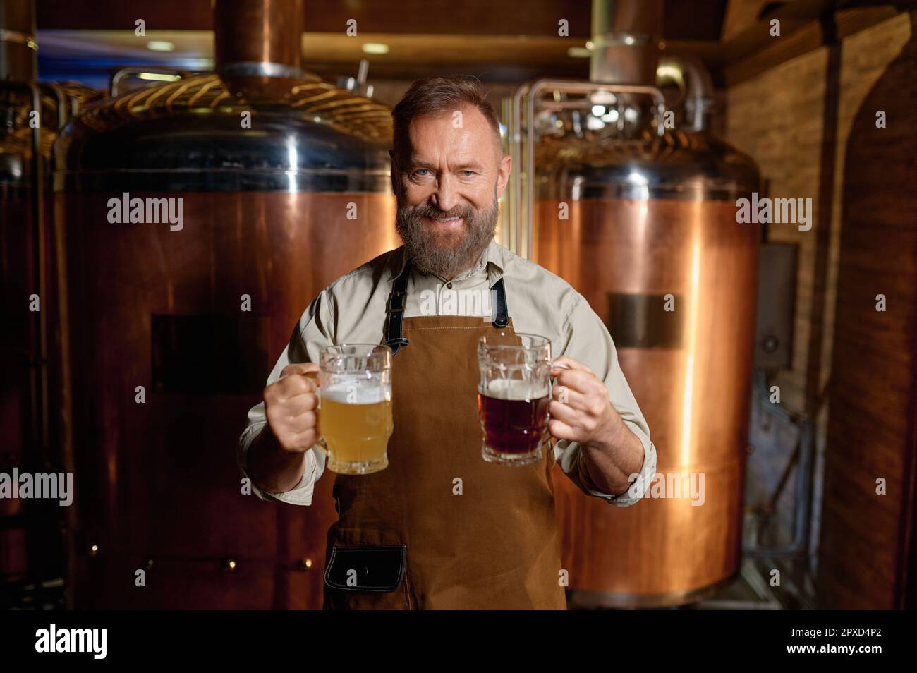 Brasseur senior satisfait posant pour caméra avec de la bière pâle et de la bière sombre pinte dans la main. Portrait de propriétaire de brasserie réussie annonçant craf fraîchement fait Banque D'Images