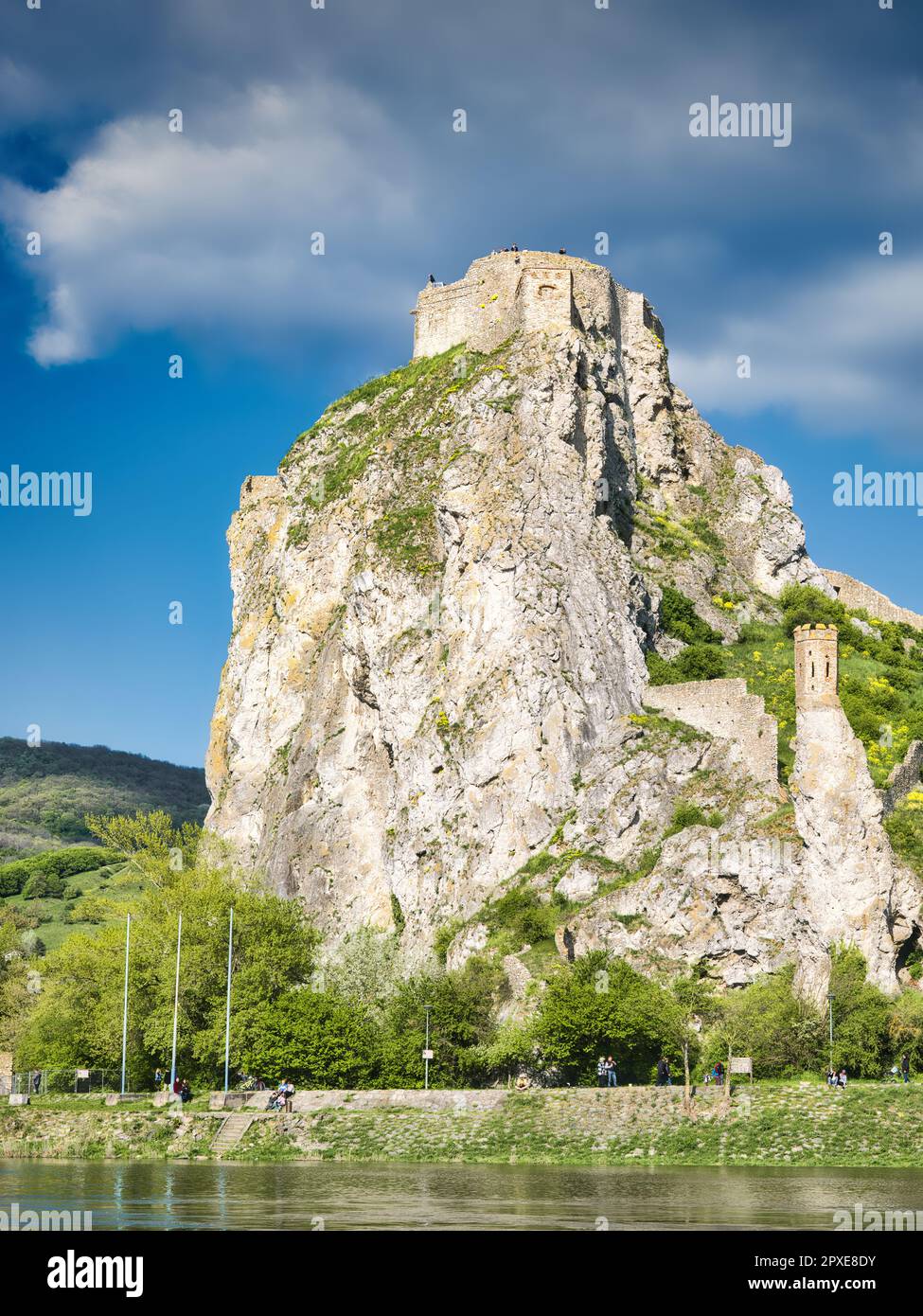 Ruines du château de Devín s'élevant sur une falaise de calcaire abrupte au-dessus du Danube à Bratislava, Slovaquie. Forteresse médiévale historique près de la confluence de Banque D'Images