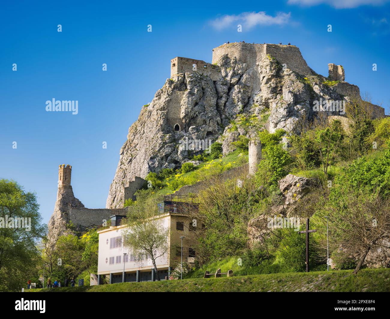 Ruines du château de Devín sur une falaise de calcaire abrupte au-dessus du Danube à Bratislava, Slovaquie. Forteresse médiévale historique avec d'anciens murs en pierre, roc Banque D'Images