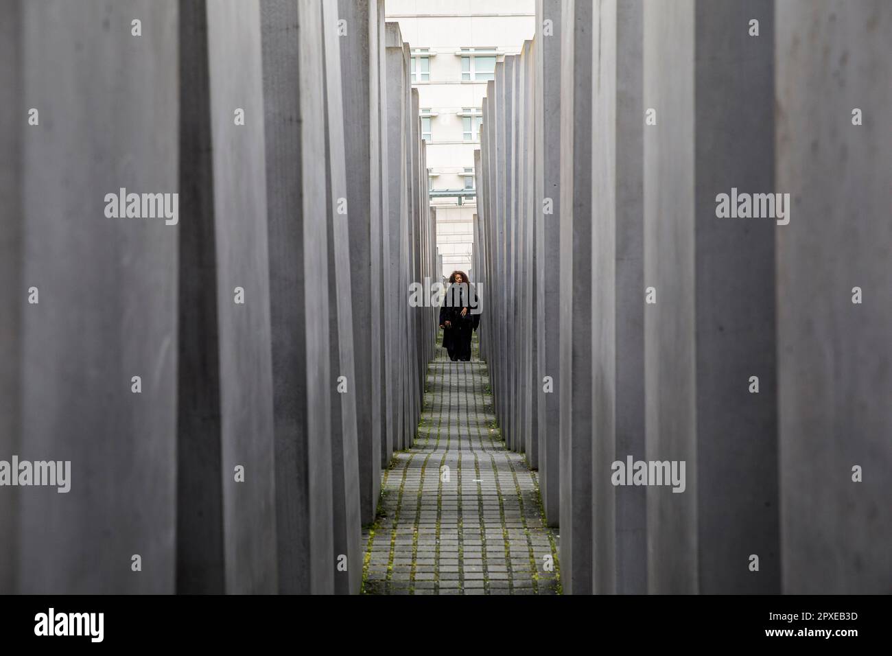 mémorial aux Juifs d'Europe assassinés, Mémorial de l'Holocauste, domaine des stelae conçu par Peter Eisenman Berlin, Allemagne. Denkmal fuer die ermordeten J. Banque D'Images