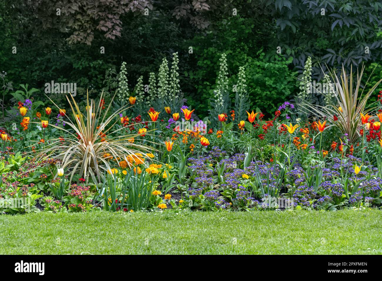 Parterres de fleurs colorées dans le parc de St. James's Park, Londres, Royaume-Uni Banque D'Images