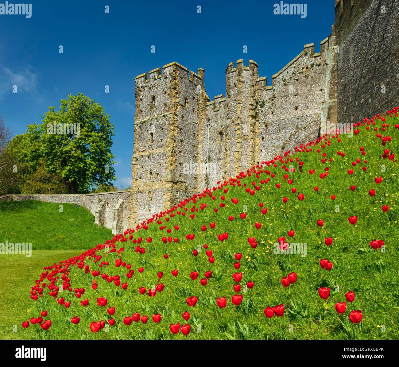 Château d’Arundel. Banque D'Images