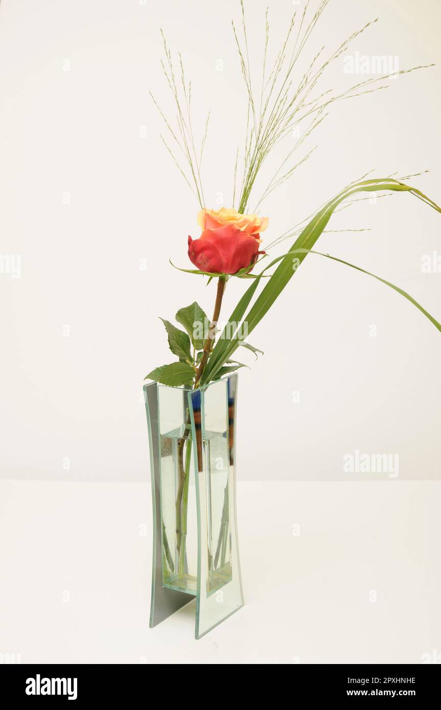 Rose, vase, Blumenvase, blume, liebe, freundschaft, valentistitag, hochzeitstag, muttertag, geburtstag, rot, Banque D'Images