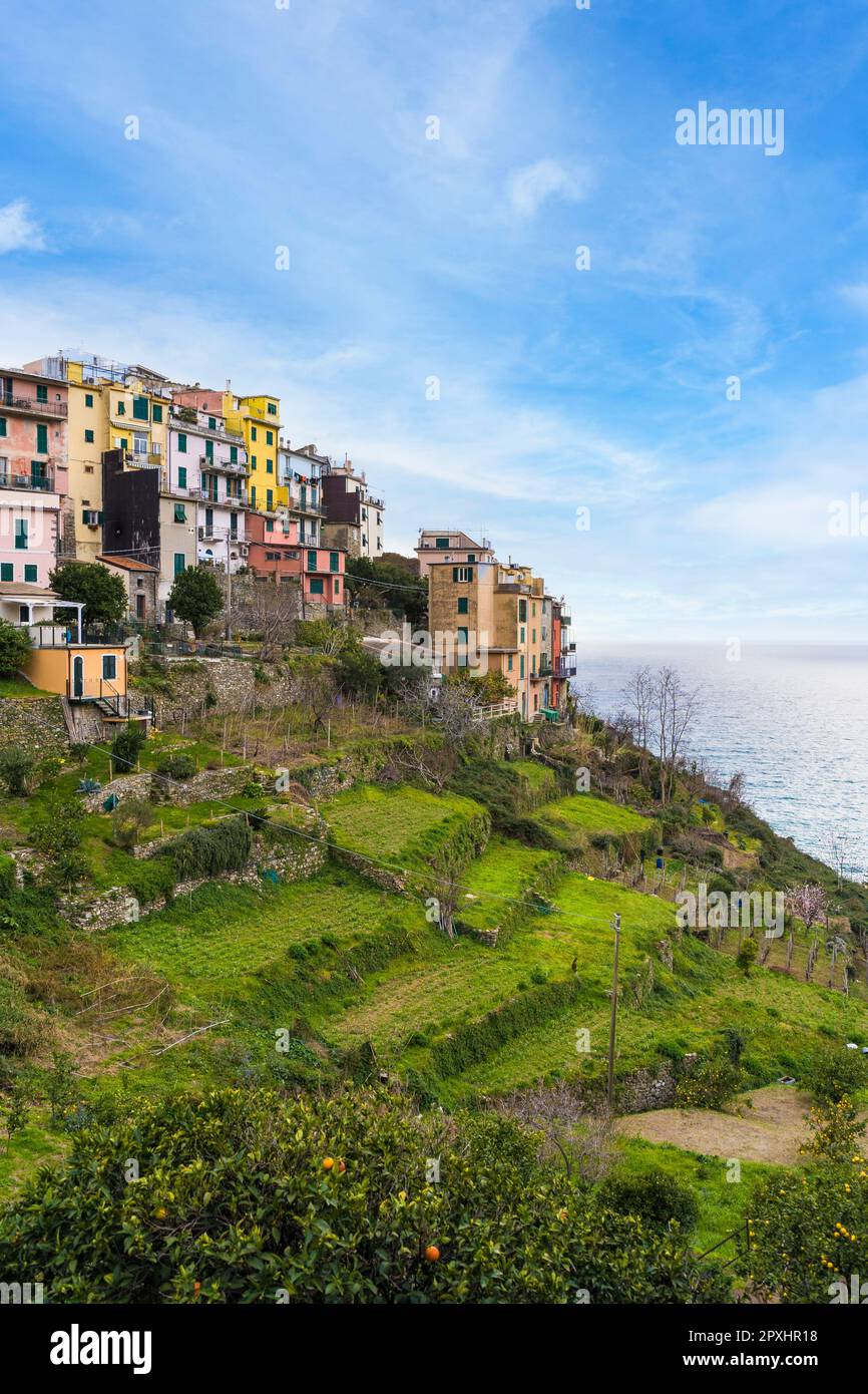 Vue panoramique sur le village de Coniglia situé à Cinque Terre, Italie Banque D'Images