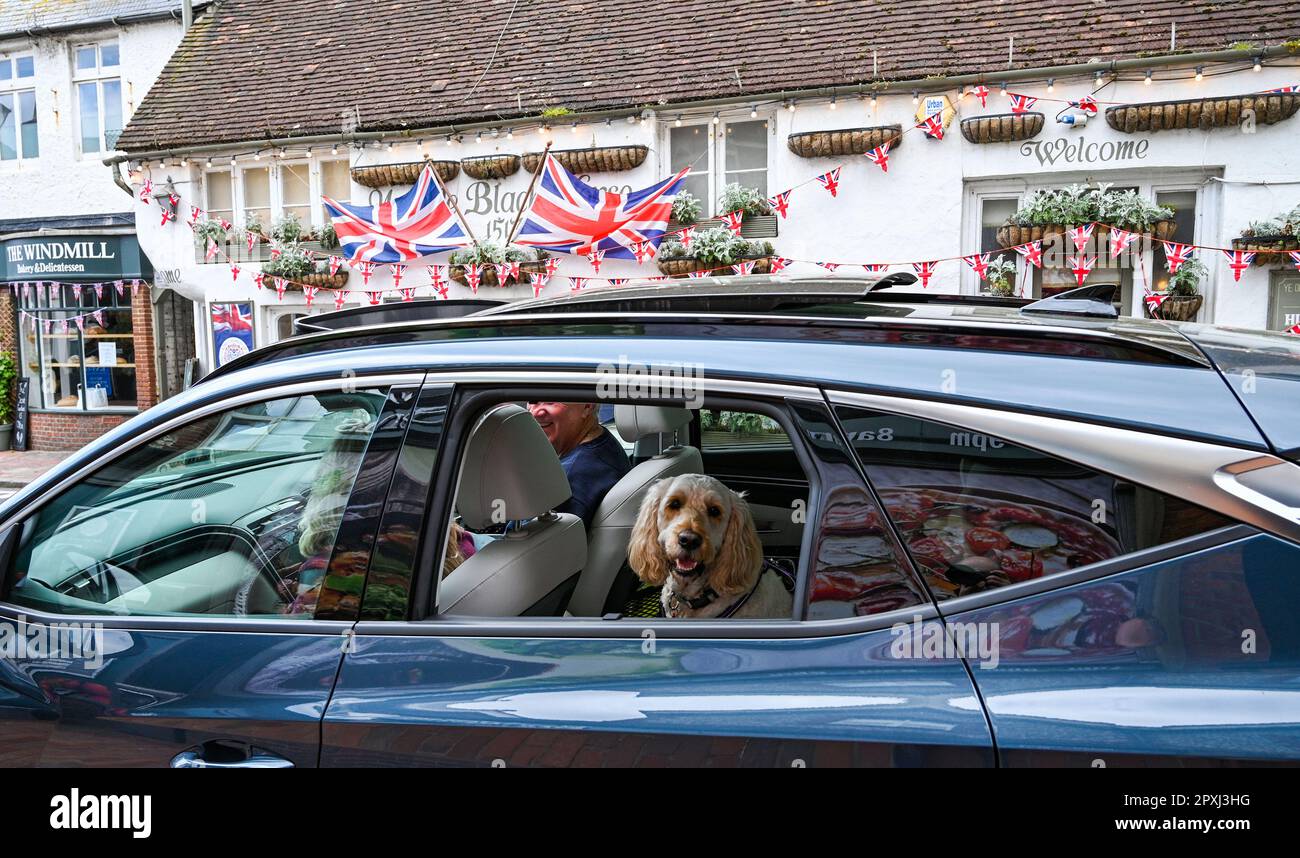 Rotingdean , Brighton UK 2nd mai 2023 - Un chien est heureux en passant par le pub Ye Olde Black Horse dans le village de Rotingdean près de Brighton qui est bien préparé et décoré pour le prochain Coronation du roi Charles III le samedi 6th mai : Credit Simon Dack / Alamy Live News Banque D'Images