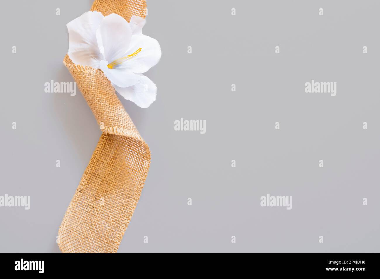 ruban de jute brun avec fleur blanche sur fond gris Banque D'Images