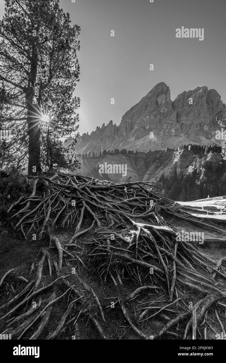 Peitlerkofel, Dolomiti près de San Martin de Tor, Tyrol du Sud, Italie Banque D'Images