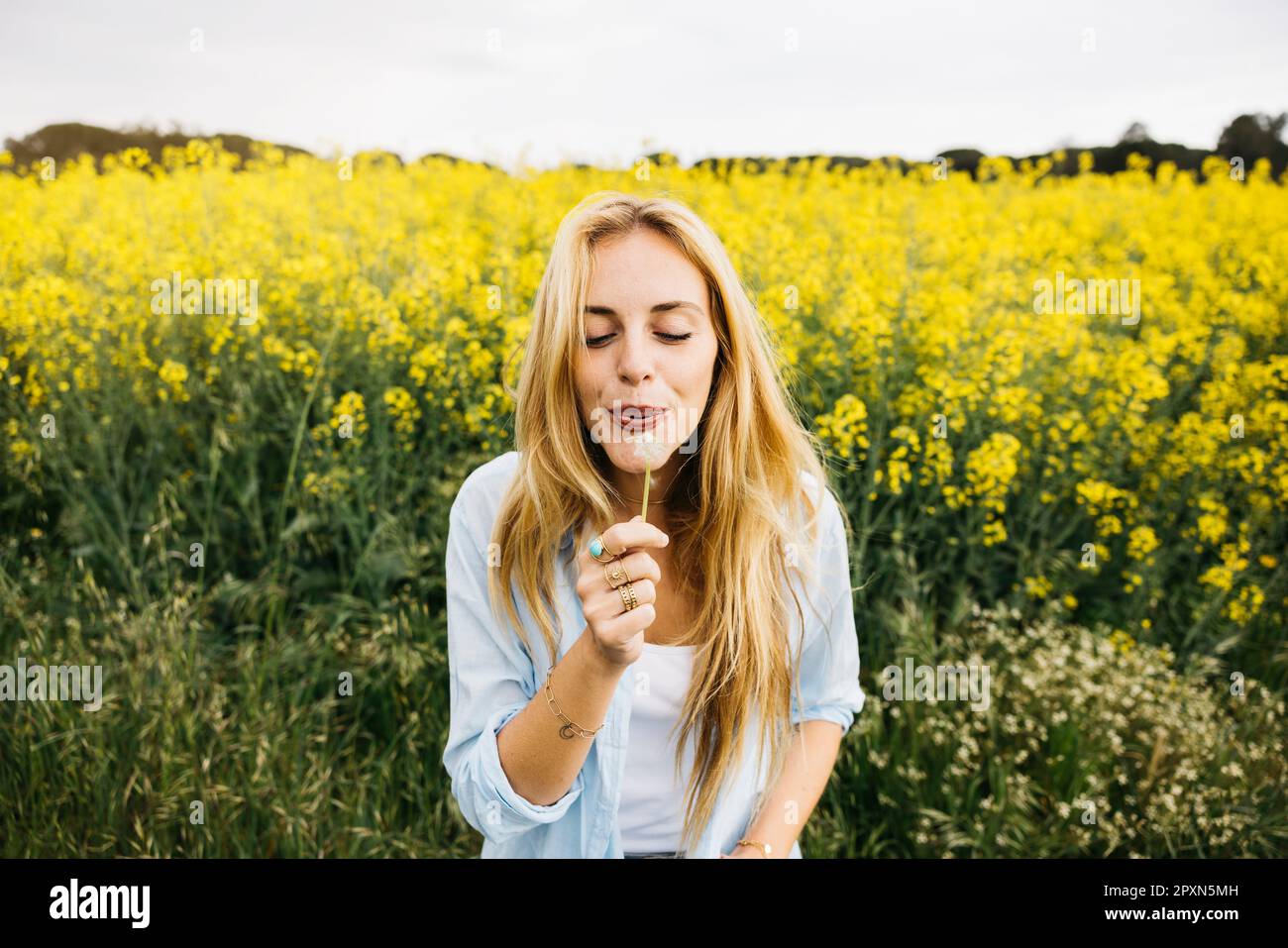 Belle jeune blonde gaie femme, soufflant des graines de pissenlit au milieu d'un champ de fleurs de colza jaune Banque D'Images