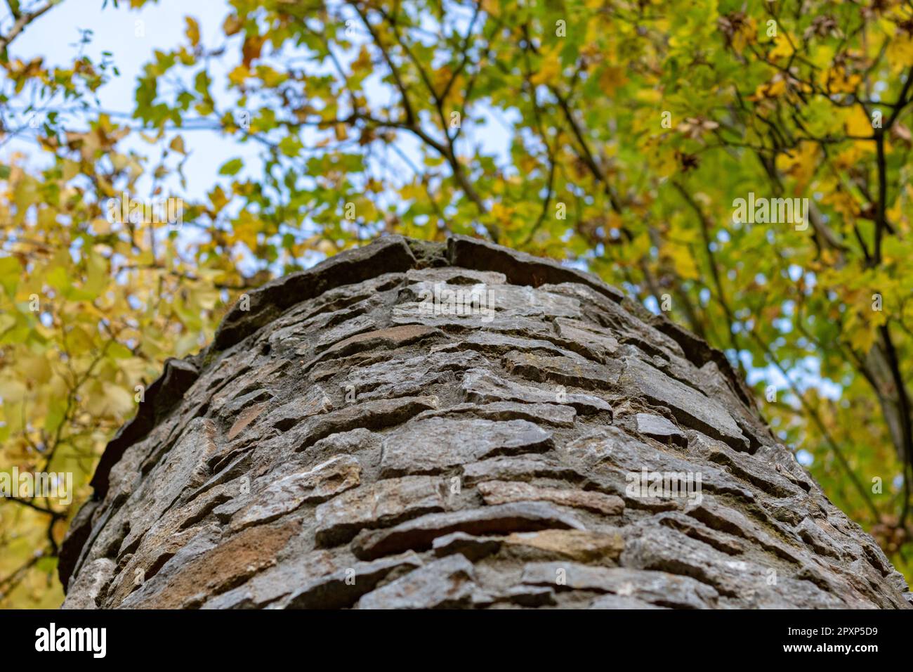 Tour circulaire en pierre avec Treetops Framing Sky View Banque D'Images