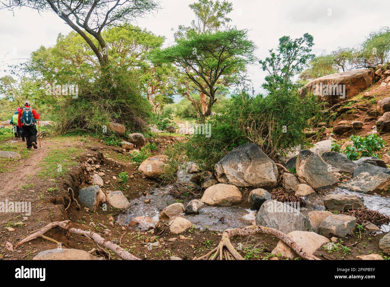 Vue arrière des randonneurs au mont Longido un jour pluvieux dans la campagne tanzanienne Banque D'Images