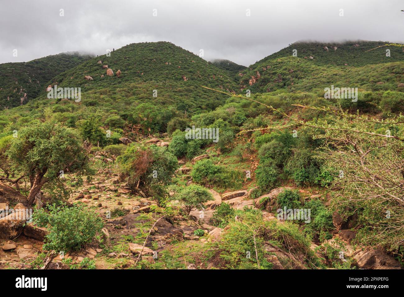 Vue panoramique sur le mont Longido en Tanzanie par une journée de brouillard Banque D'Images