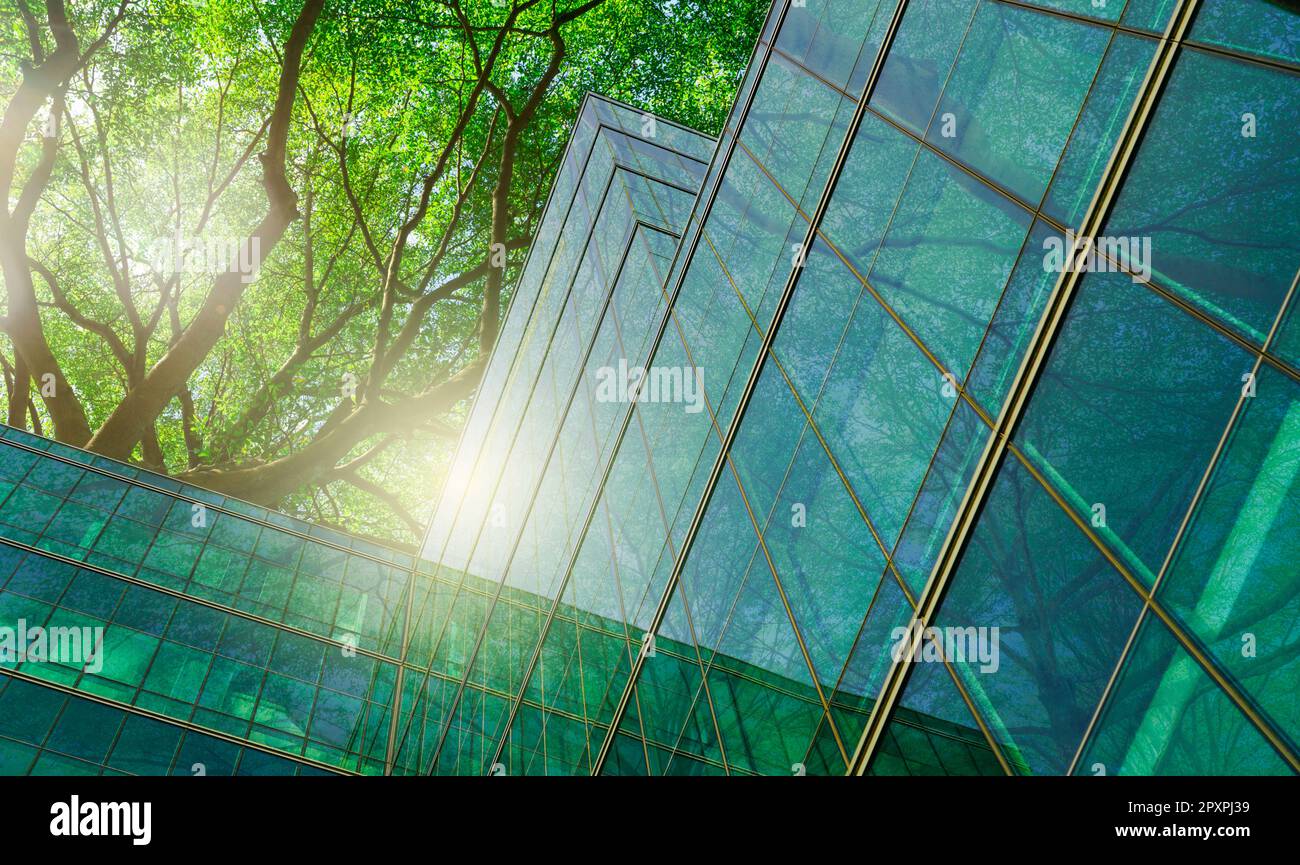 Bâtiment vert durable. Bâtiment écologique dans une ville moderne. Bâtiment de bureau durable en verre avec arbre pour réduire le dioxyde de carbone. Bureau Banque D'Images