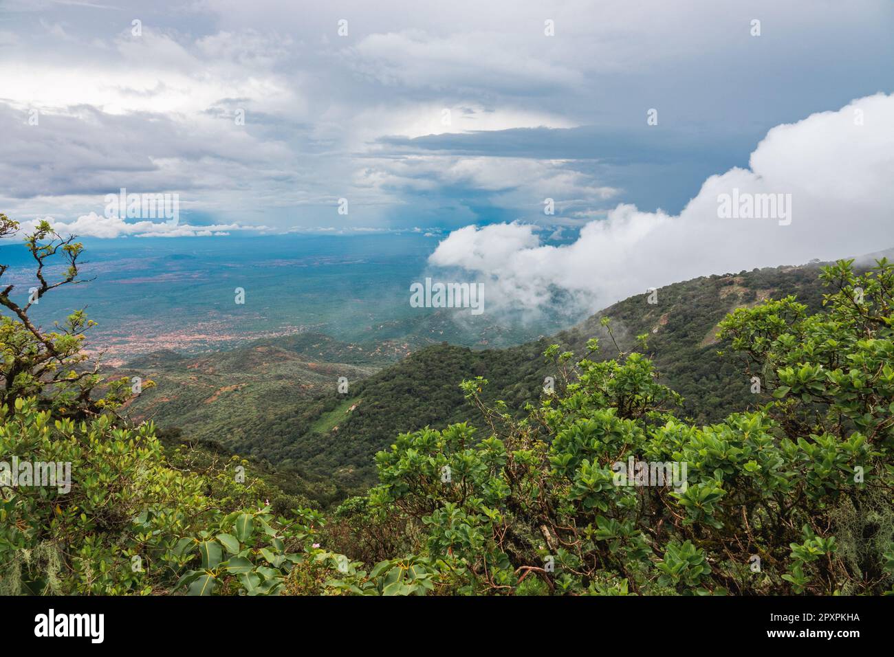 Vue panoramique sur le mont Longido en Tanzanie par une journée de brouillard Banque D'Images