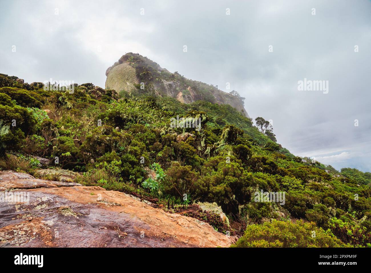 Vue panoramique sur le mont Longido en Tanzanie par une journée de brouillard Banque D'Images