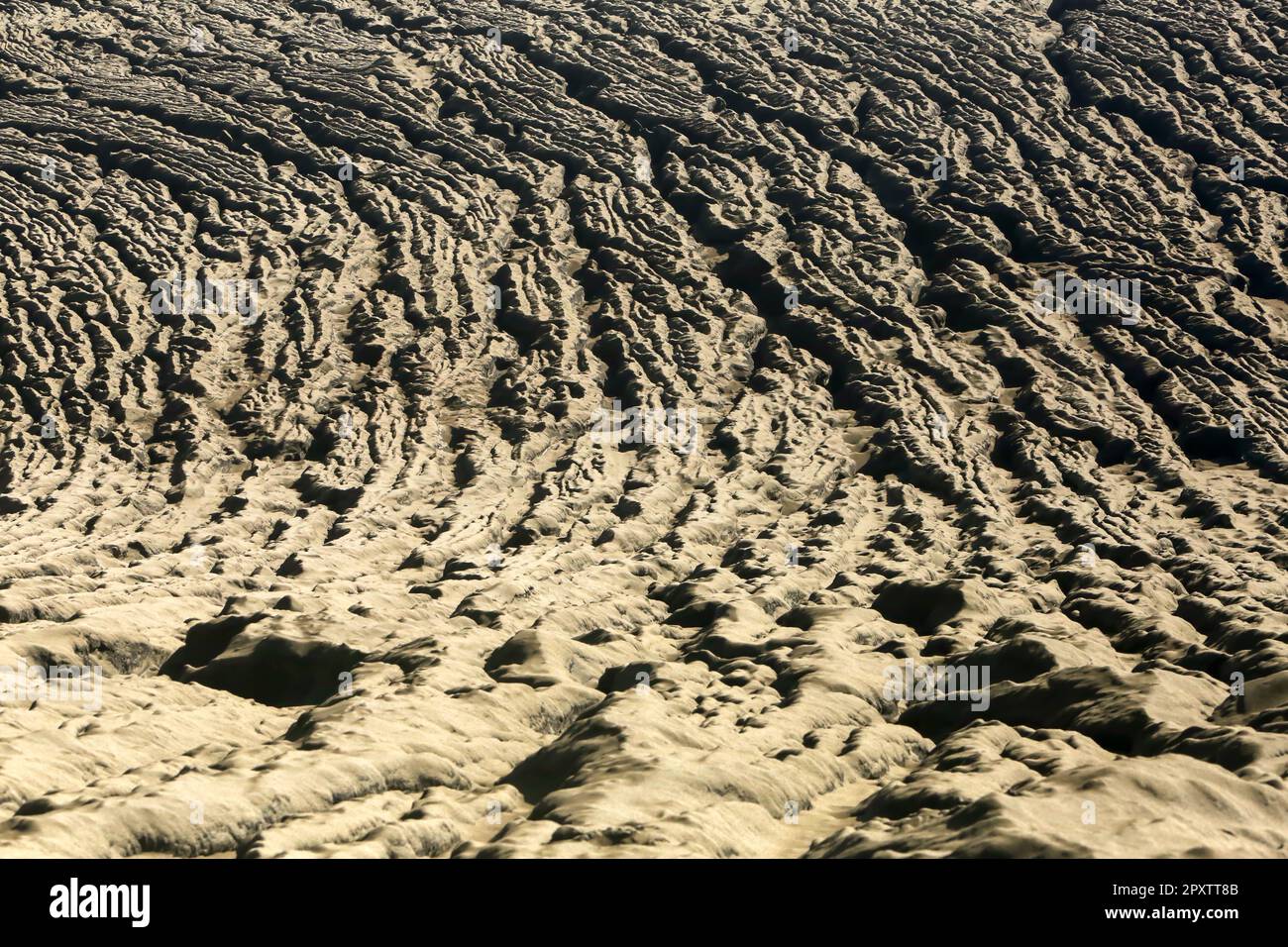 La mer de sable autour du mont Bromo dans le parc national de Bromo Tengger, Semeru, Java-est, Indonésie Banque D'Images