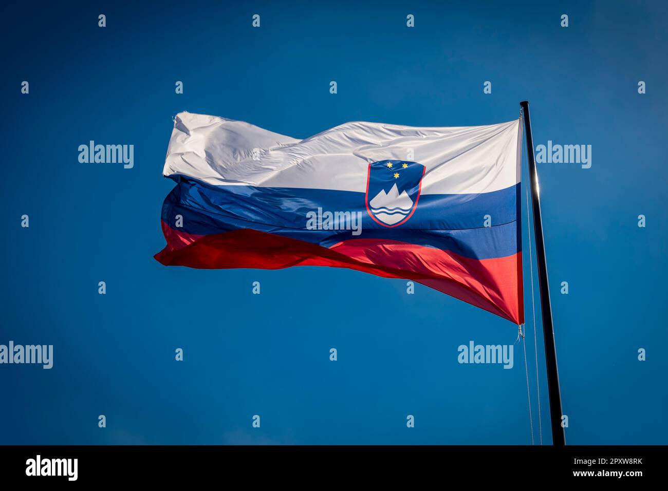 Le drapeau slovène flotte sur un ciel bleu clair Banque D'Images