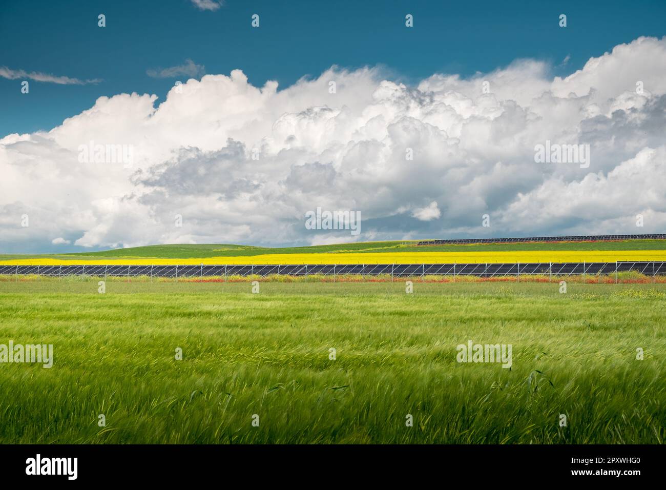 Sources d'énergie renouvelables de panneaux solaires installés dans un champ entouré de blé et d'autres cultures à la plaine de Thessalys, Grèce. Banque D'Images