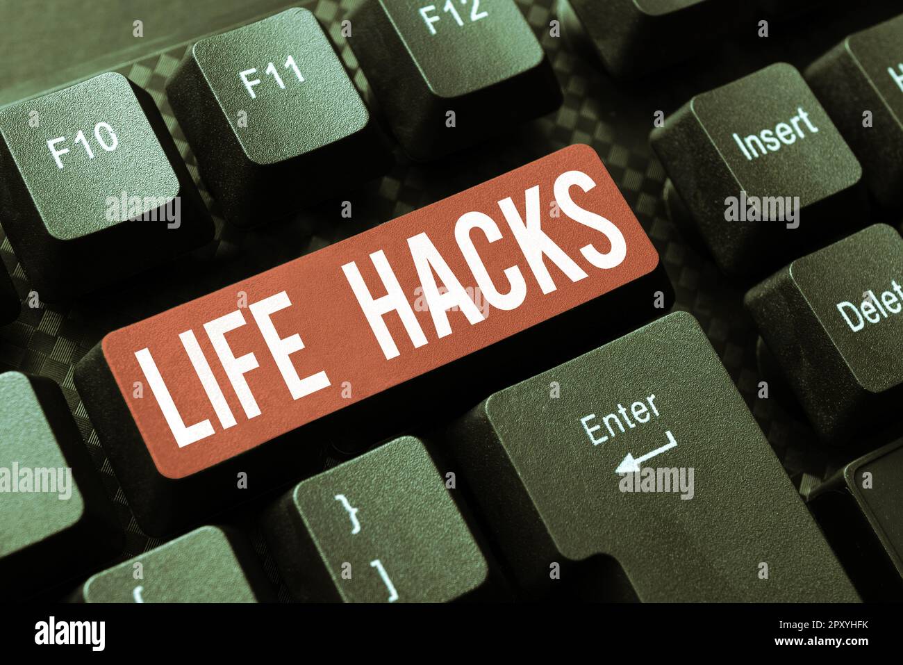 Texte montrant inspiration Life Hacks, concept Internet technique de stratégie pour gérer les activités quotidiennes plus efficacement Banque D'Images