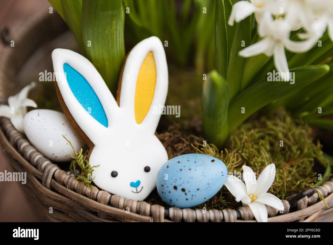 Biscuit au pain d'épice de lapin de Pâques posé sur le pot à fleurs en  jacinthe. Les oreilles de lapin sont colorées avec le bleu jaune comme  drapeau de l'Ukraine. Œufs de Pâques blancs et bleus Photo Stock - Alamy