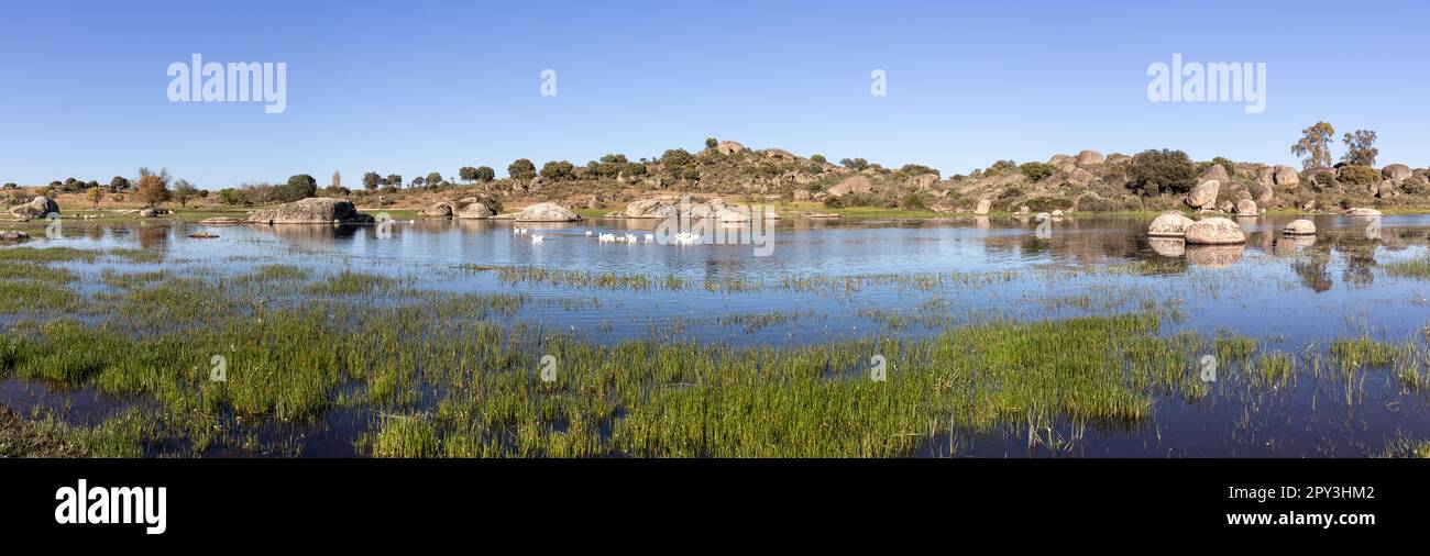 Fotografía panorámica de una laguna en la Reserva Natural de Los Barruecos, Malpartida de Cáceres, España Banque D'Images