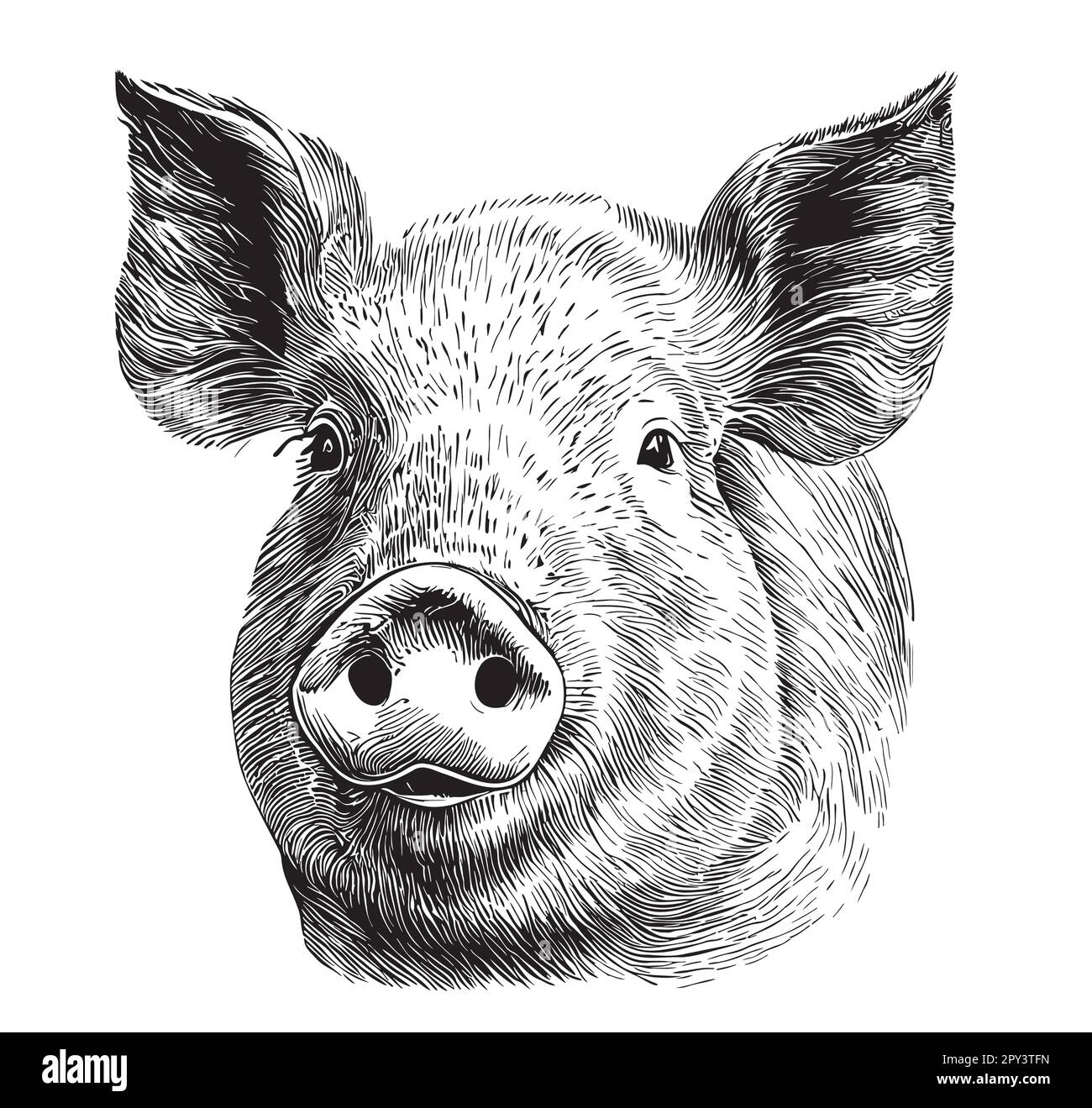 Dessin de face de porc dessiné à la main dans l'illustration de style Doodle Illustration de Vecteur