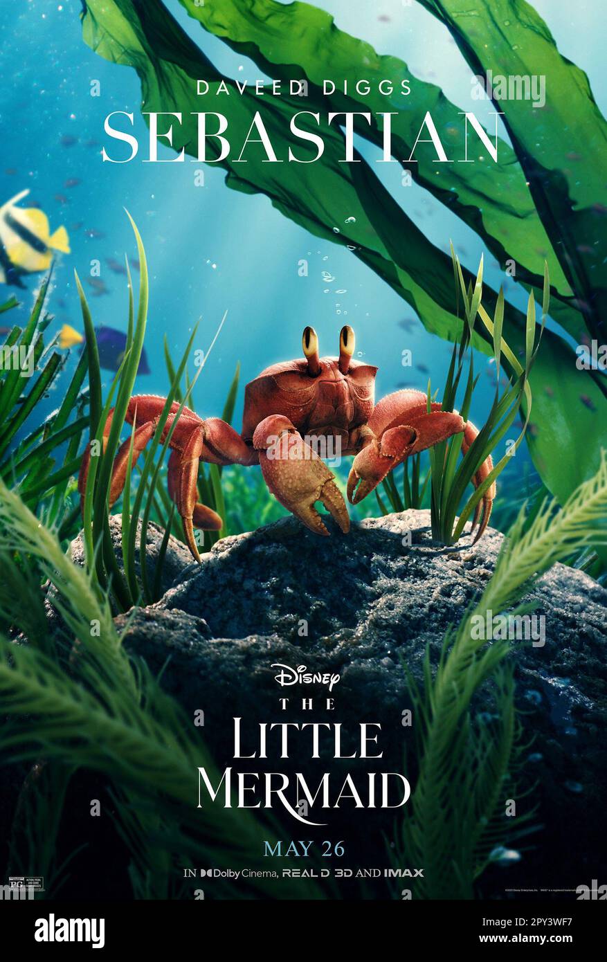LA PETITE SIRÈNE, affiche de personnage américain, Sebastian (voix: Daveed Diggs), 2023. © Walt Disney Studios Motion Pictures / avec la permission de la collection Everett Banque D'Images