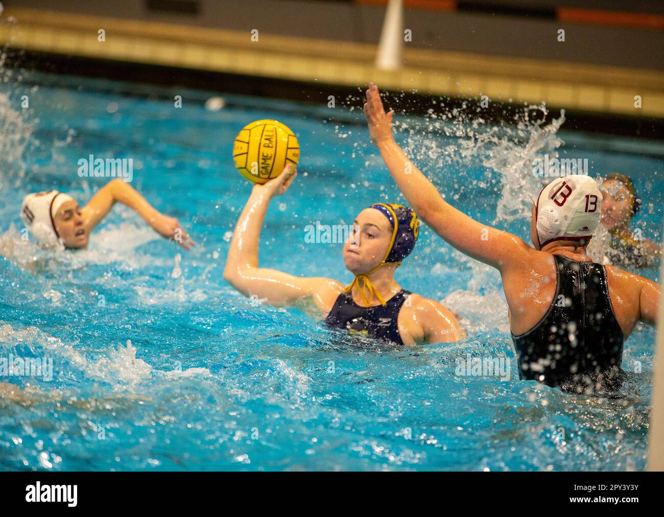 Match de water-polo universitaire pour femmes à Princeton, NJ Banque D'Images
