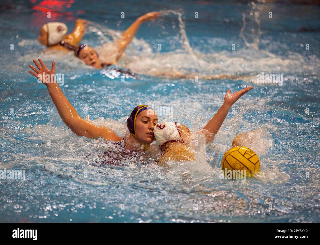 Match de water-polo universitaire pour femmes à Princeton, NJ Banque D'Images