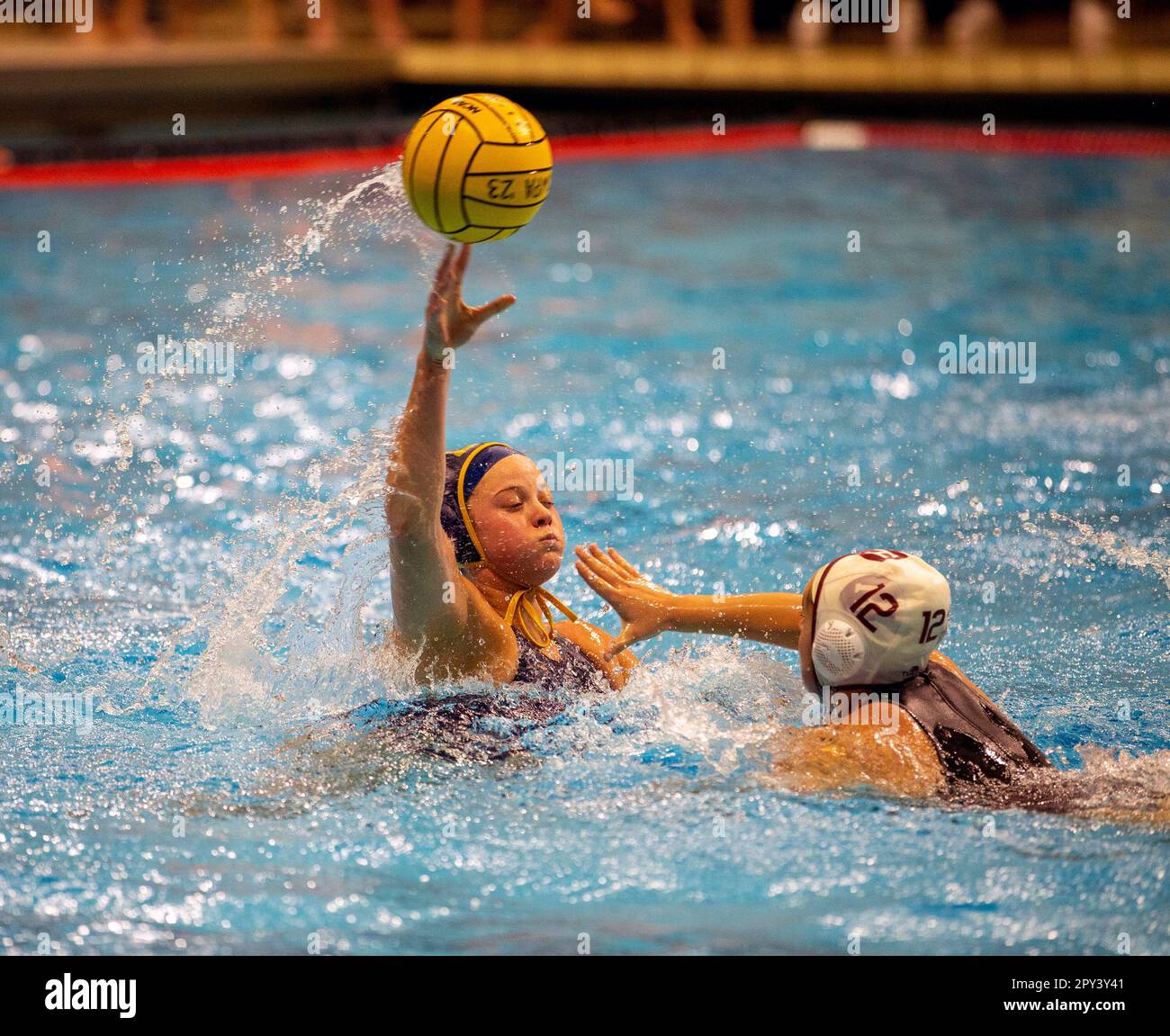 Match de water-polo universitaire pour femmes à Princeton, NJ Banque D'Images