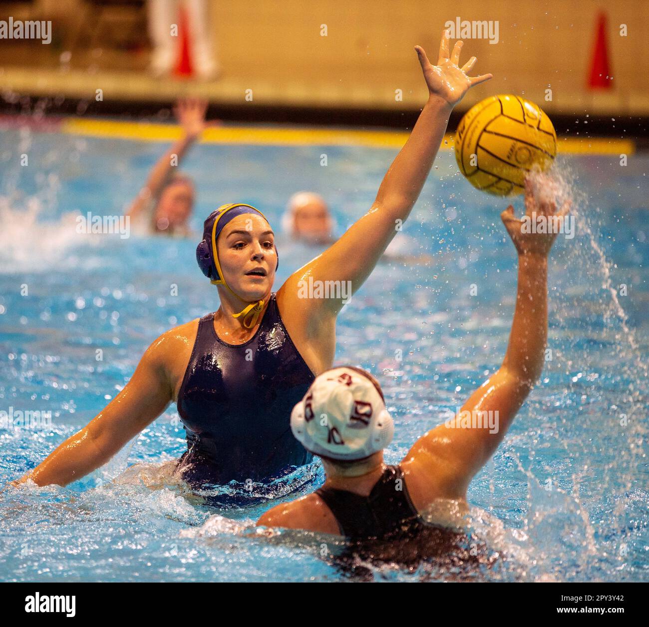 Match de water-polo universitaire pour femmes à Princeton, NJ Banque D'Images